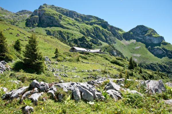 Glarner Käsepass 2019 - die Wege zu den Alpen